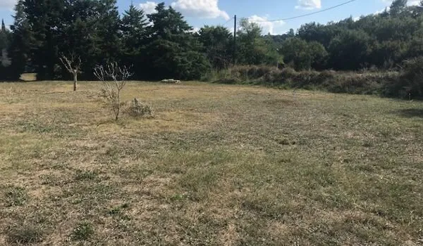 Terrain 1000 m²