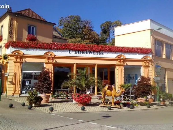 Immeuble 7 pièces 207 m²