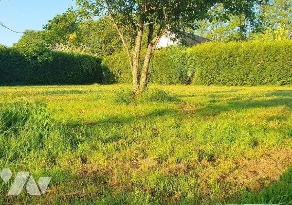 Terrain 446 m²