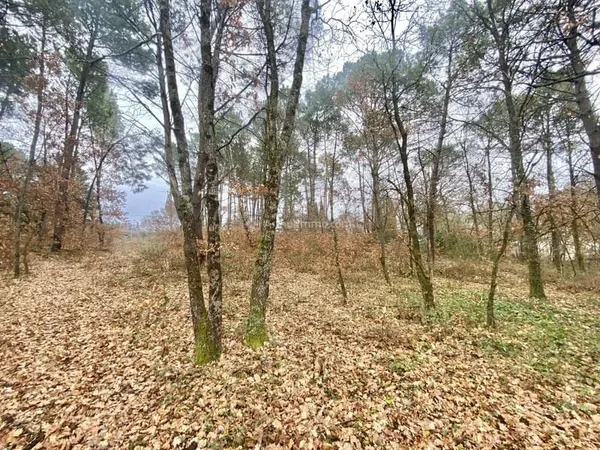 Terrain à bâtir