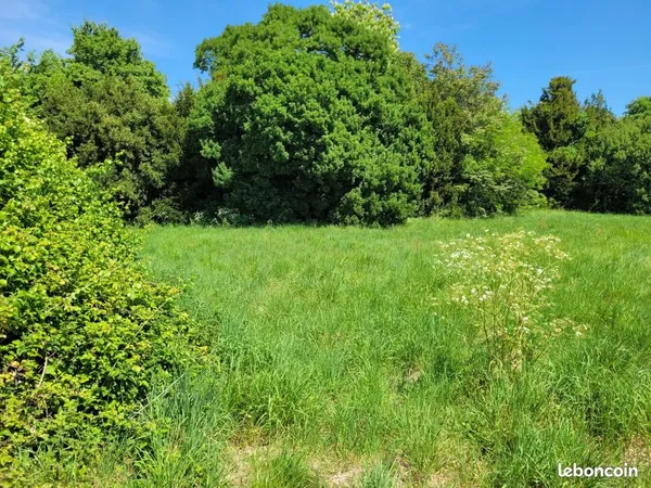 Terrain 1 246 m² Arvert