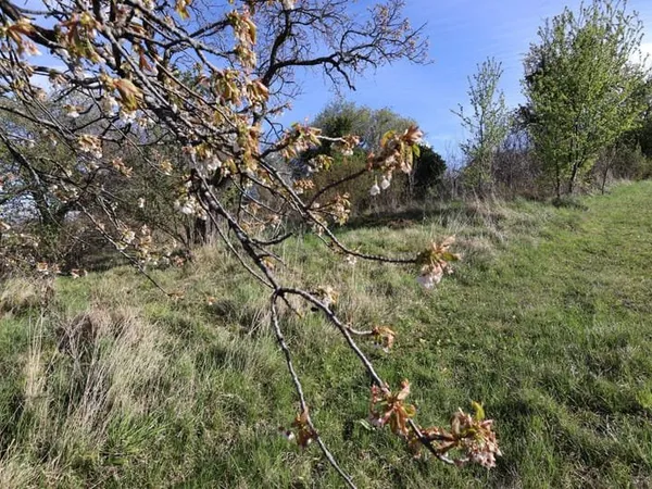 EXCLUSIVITE DURTOL MONTCHANY beau terrain de 1384 m²