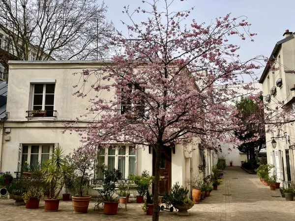 Vends maison
