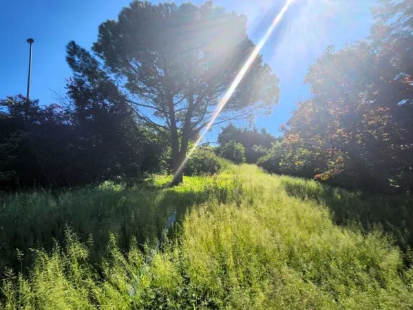 Terrain 570 m²