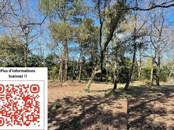 Terrain 619 m²