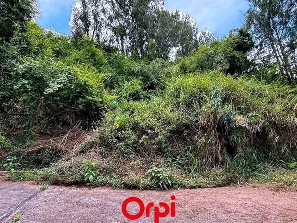 Terrain 4289 m²