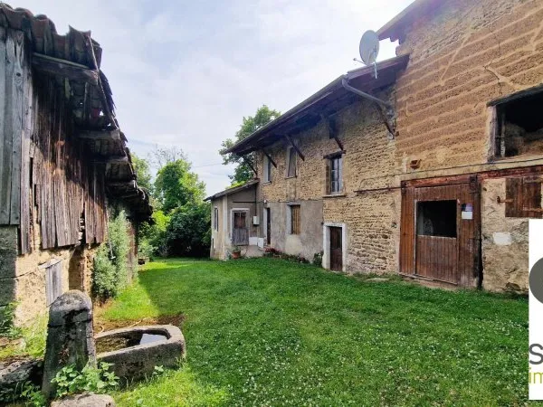 SAINT MARCELLIN viager occupé maison ancienne sur terrain