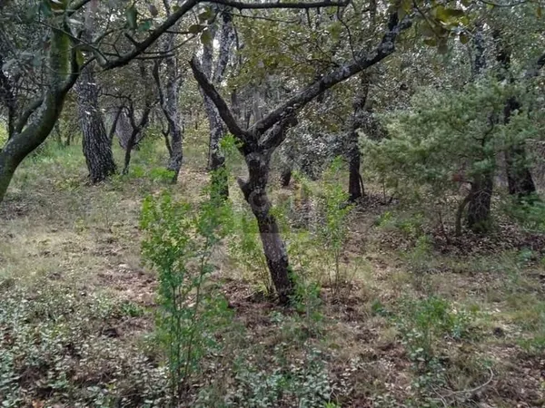 Terrain constructible Villeneuve les Avignon de 436 m2, viabilité en bordure