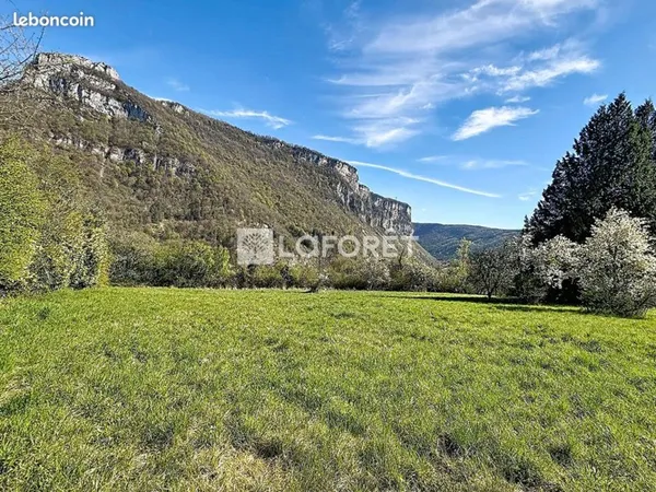 Terrain 4834 m² TENAY