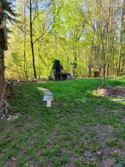 Terrain de loisir de 9 ares (900 m²) à louer - bail annuel - entre Geispolsheim-gare et village en l