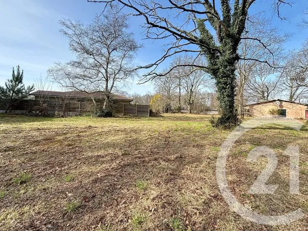 Terrain 7711 m²