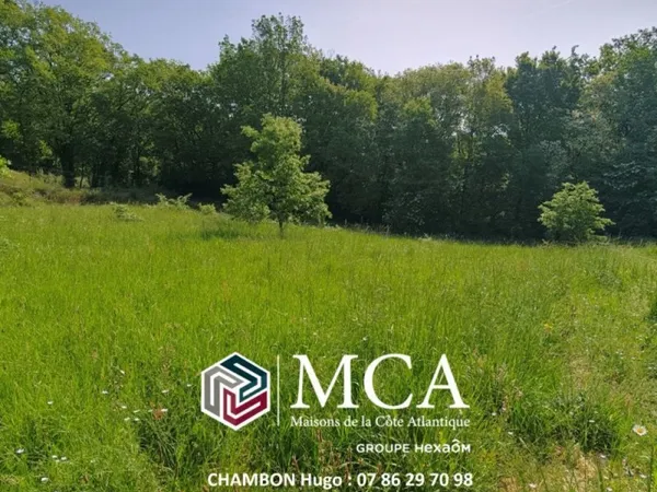 Terrain 2407 m²