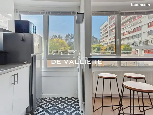 Appartement 1 pièce 29 m²