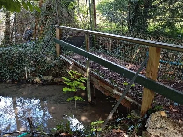 Terrain plat avec ruisseau ,