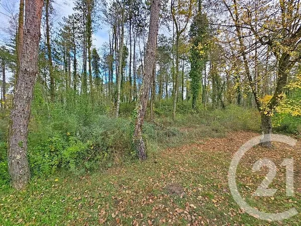 Terrain 38000 m²
