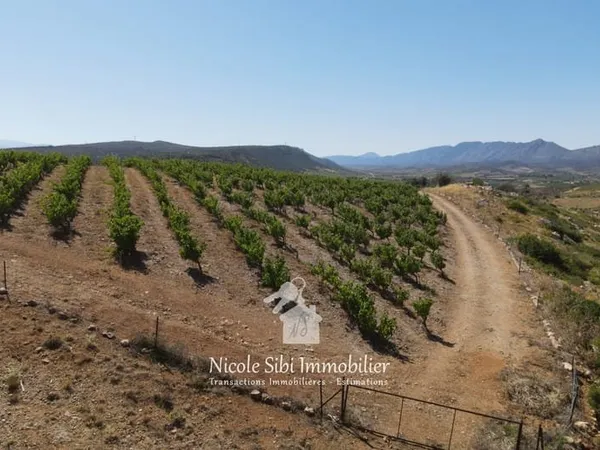 Vente terrain agricole