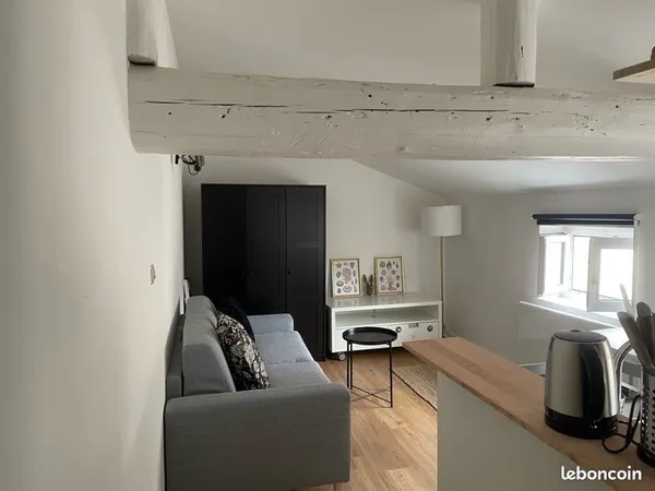Studio meublé Nancy 480 CC