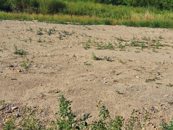 Terrain 200 m²