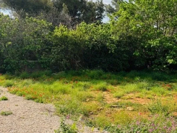Terrain 425 m²