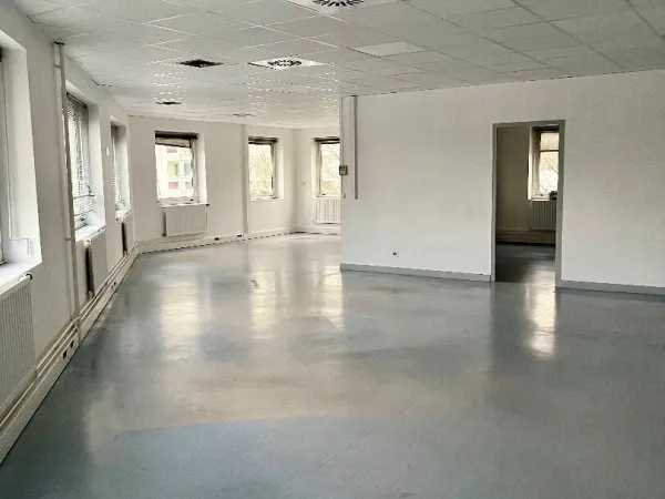 Local professionnel spacieux à louer - Centre de Rillieux-la-Pape