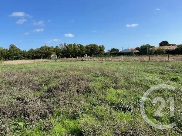 Terrain 917 m²