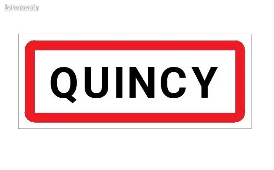 Terrain constructible à vendre Quincy 18120