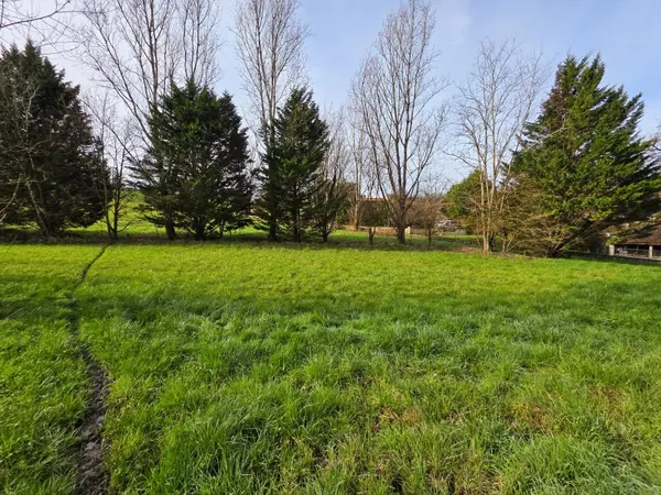 Terrain 920 m²