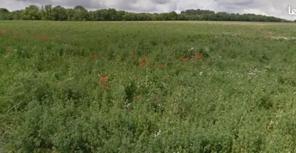 Terrain 870 m² Juniville