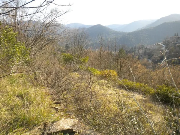 Terrain à bâtir Vente Le Vigan  2845m² 58000€