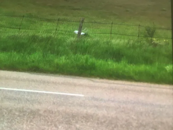Terrain à louer pour des animaux ou autre