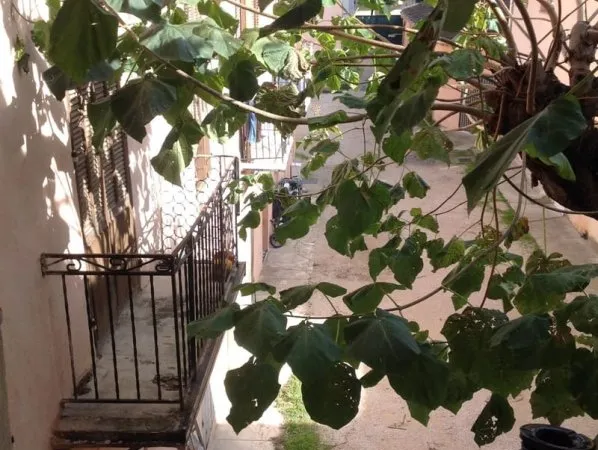 Appartement T2 Aix en Provence Quartier Pasteur/ Cathédrale