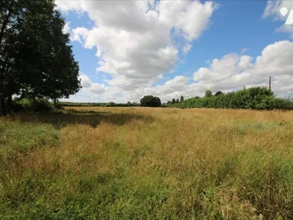 Terrain 3000 m²