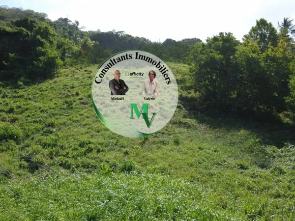 Terrain 1241 m²