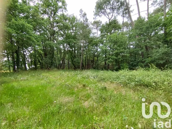 Terrain 2973 m²