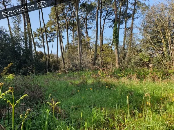 Grand terrain à bâtir au coeur de la forêt de Jard Sur Mer