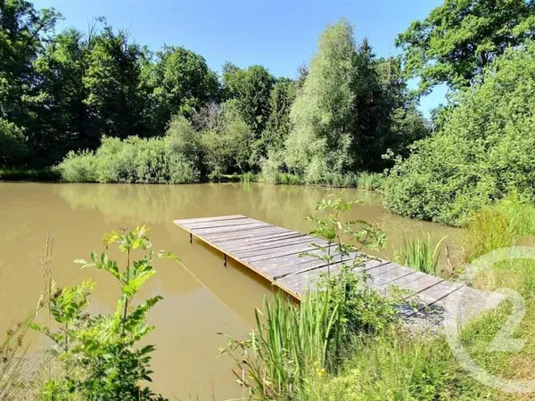 Terrain 10000 m²