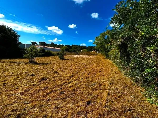Terrain 1116 m²