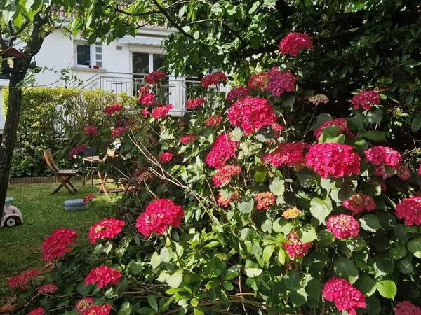 Maison familiale avec jardin arboré Le Havre