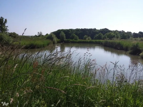 Terrain 9551 m²