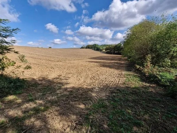 Terrain 27658 m²