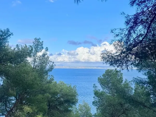 Terrain 4428 m²