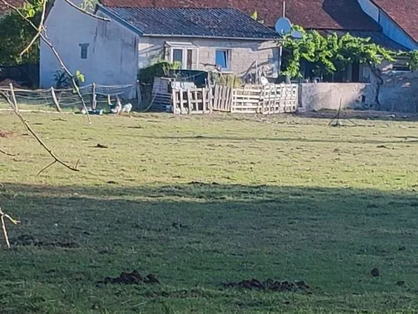Maison 90 m2 avec terrain de plus de 2 hectares