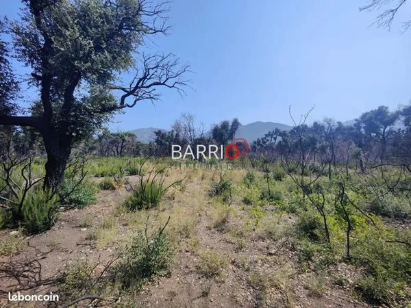 Terrain agricole 8 000 m² Saint Andre