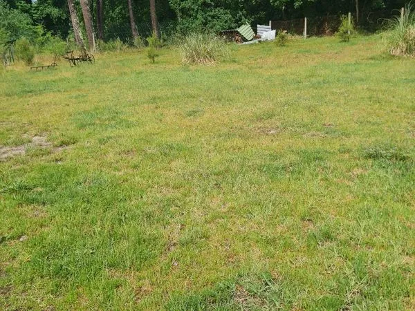 Terrain 800 m2 Labouheyre