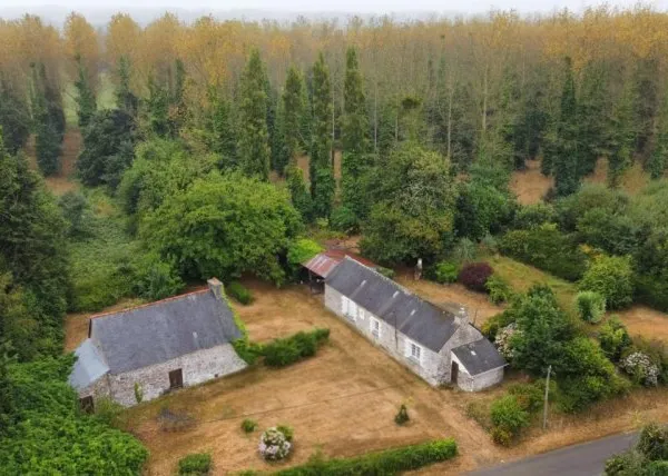Maisons à rénover + une forêt