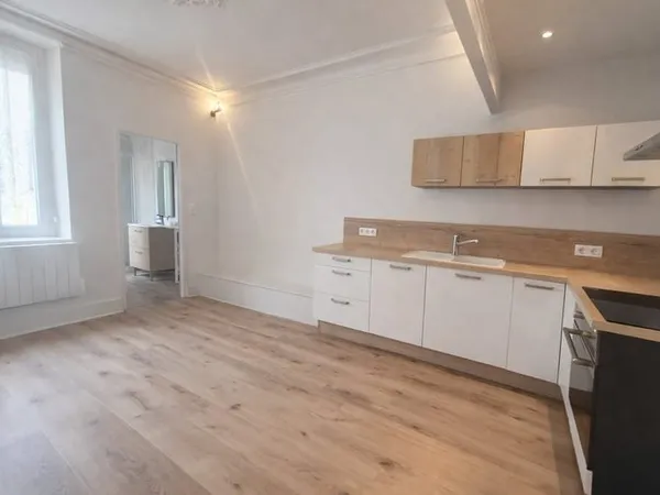 À vendre T2 entièrement rénové Dijon (rue Gambetta, proc