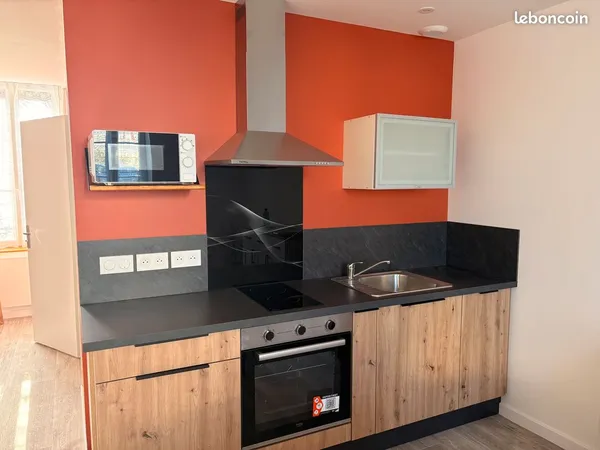 Appartement rénové entièrement