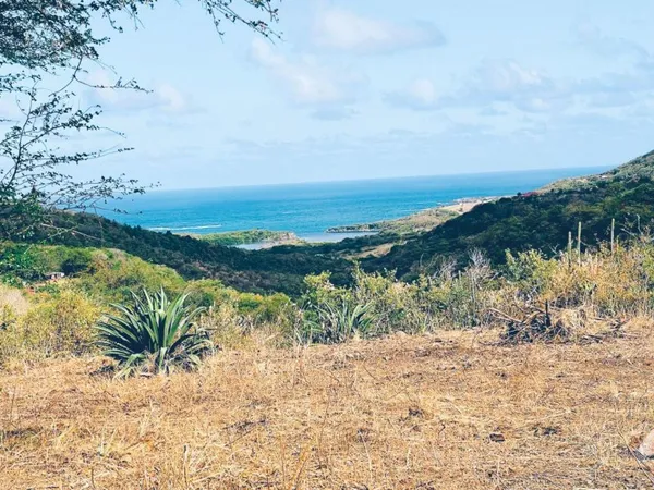 Terrain en individuel 5000 m²
