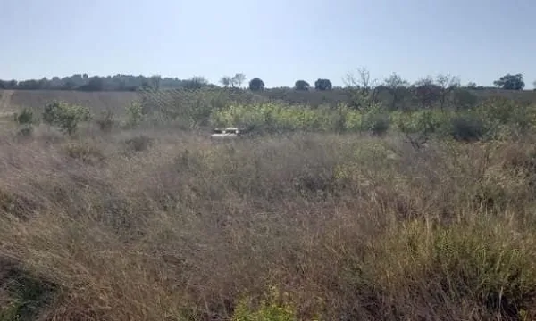 Terrain 482 m²