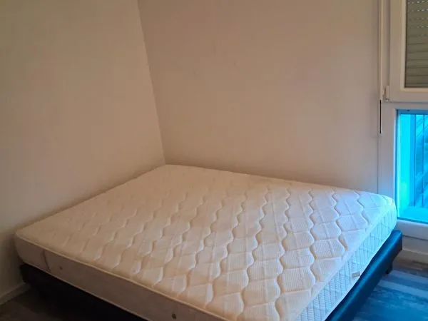Colocation dans appartement T3